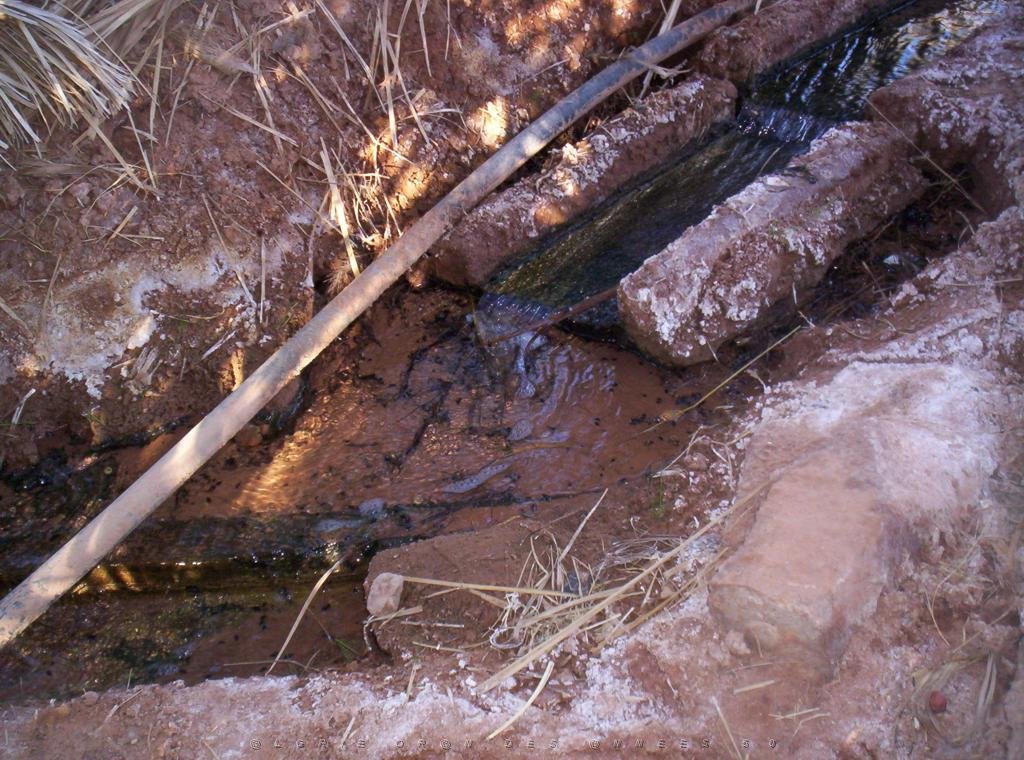 TIMIMOUN DECEMBRE 2004 N031 AVEC DES SEGUIAS D IRRIGATION.JPG